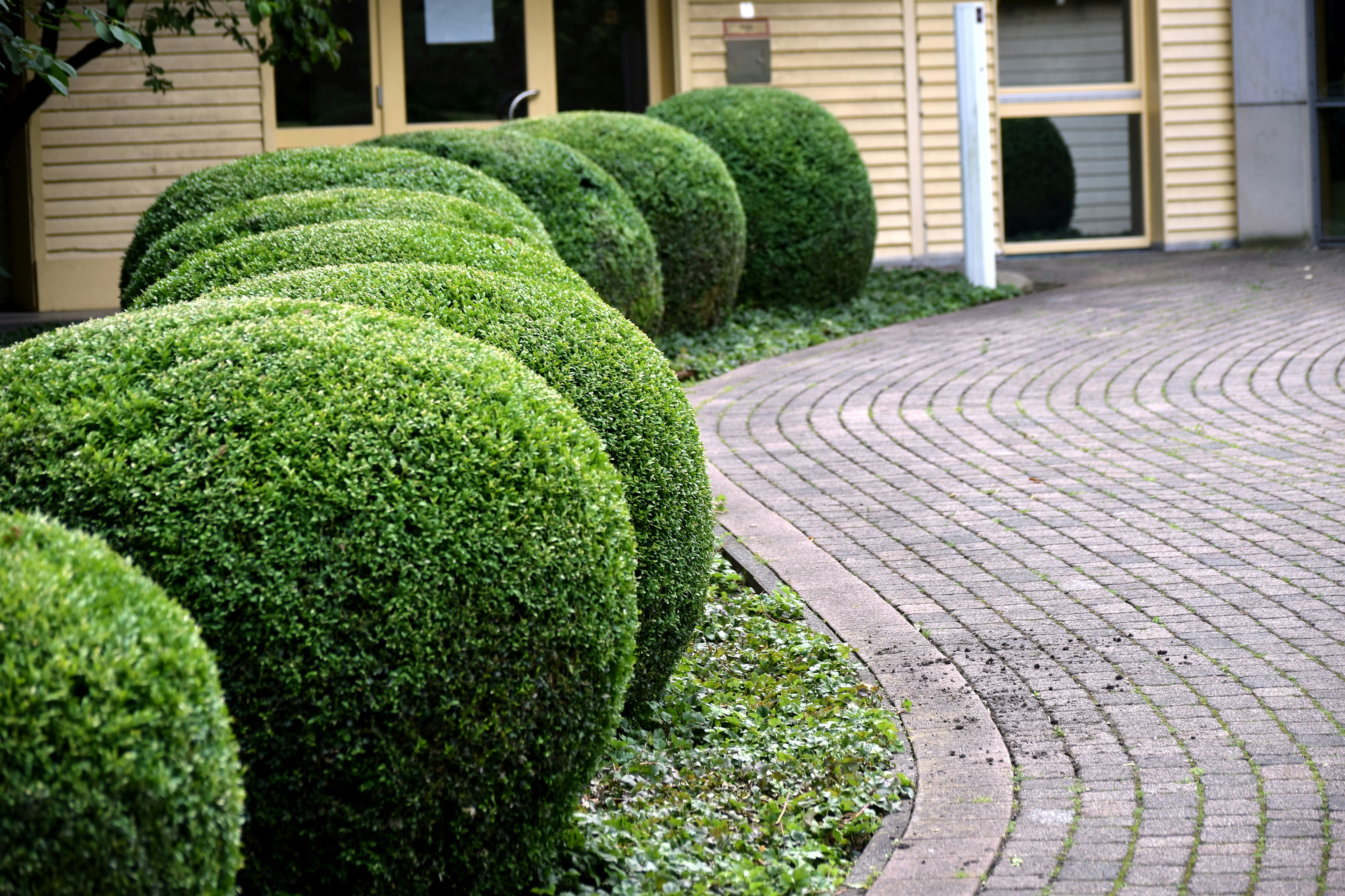 DIY Hardscaping: 5 Projects You Can Tackle This Weekend