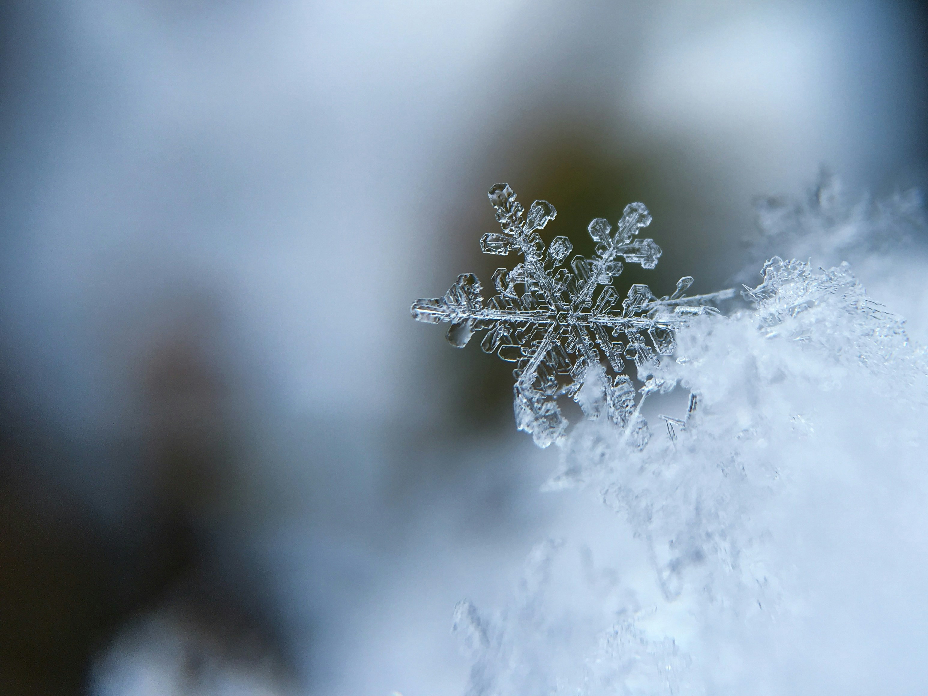 Snow Removal Services